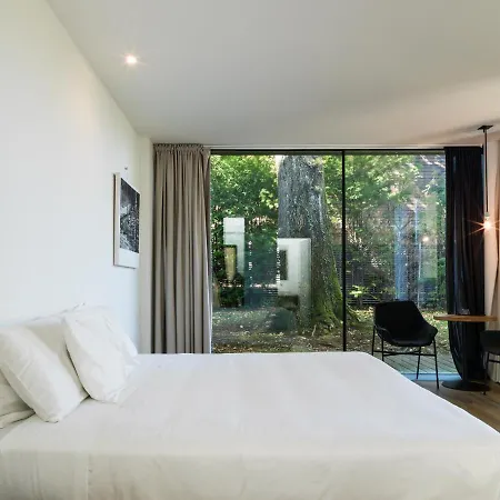 Casa Sull'albero