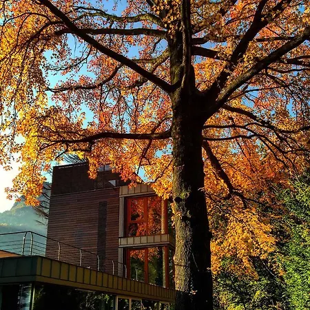 게스트하우스 Casa Sull'albero