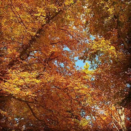 Casa Sull'albero 말그라테