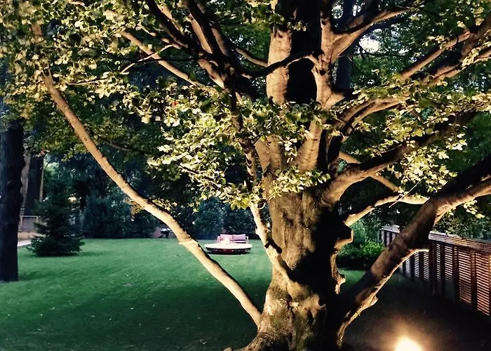 Casa Sull'albero Гостевой дом Мальграте