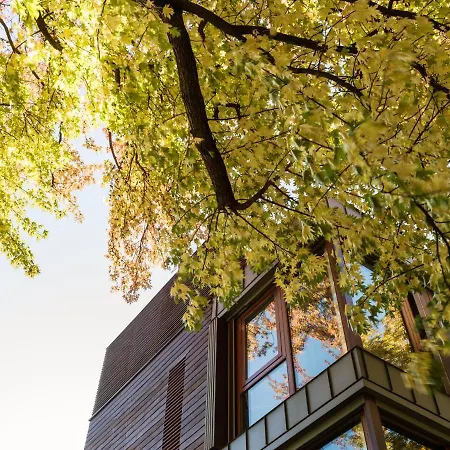 ゲストハウス Casa Sull'albero