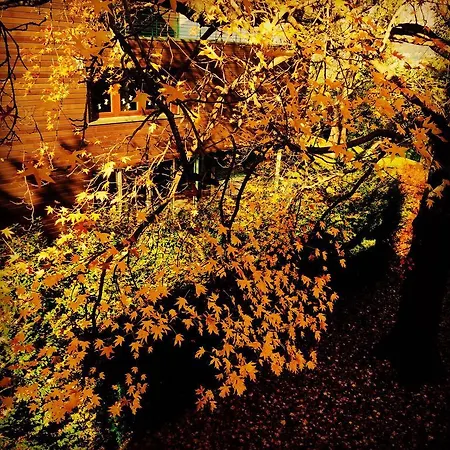 ゲストハウス Casa Sull'albero 4*