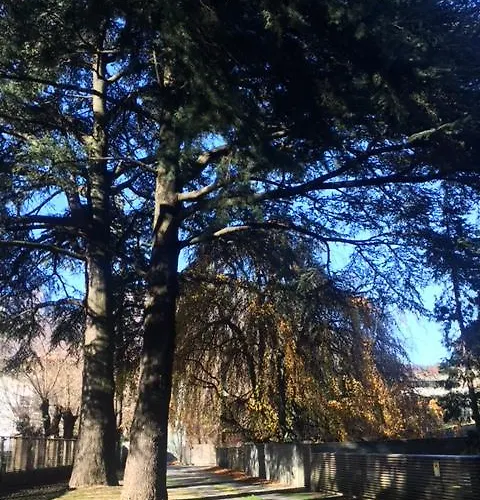 Casa Sull'albero Gasthof 4*